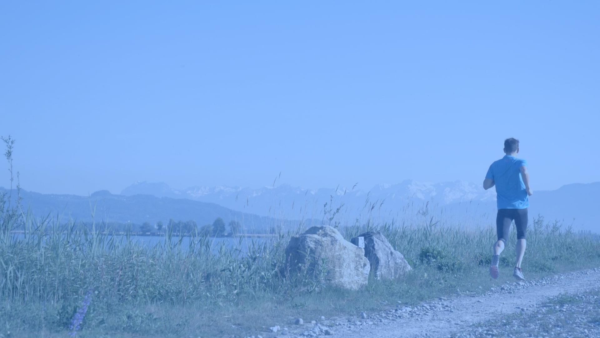 Persönliches Lauftraining und Coaching am Bodensee