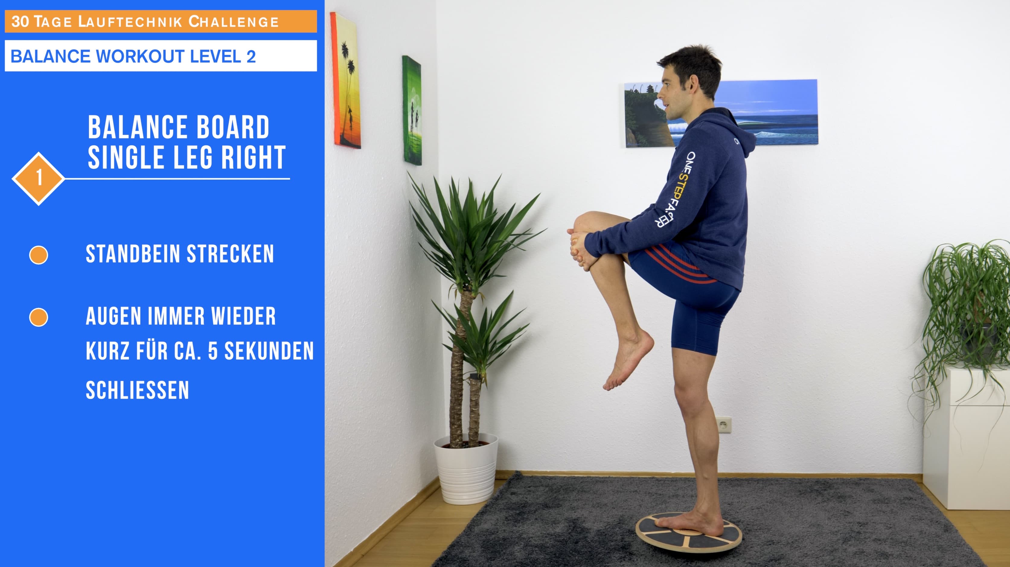 Balance Board Single Leg
